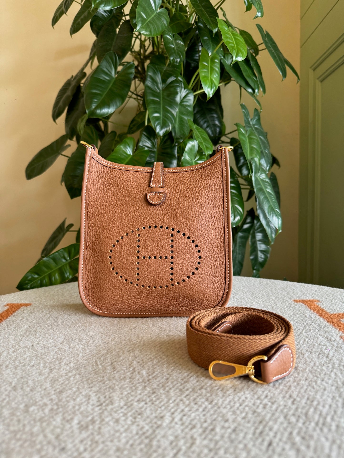 Hermes Mini Evelyn