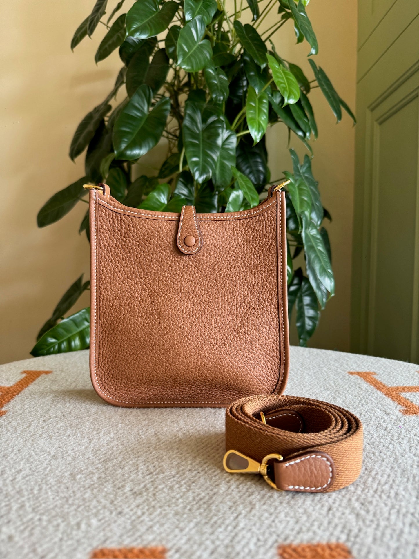 Hermes Mini Evelyn