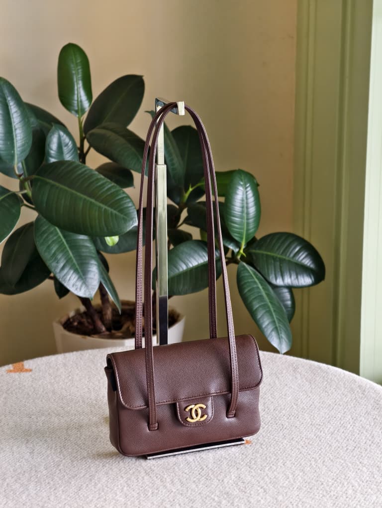 Chanel Preppy Coco Dark Brown Mini Bag