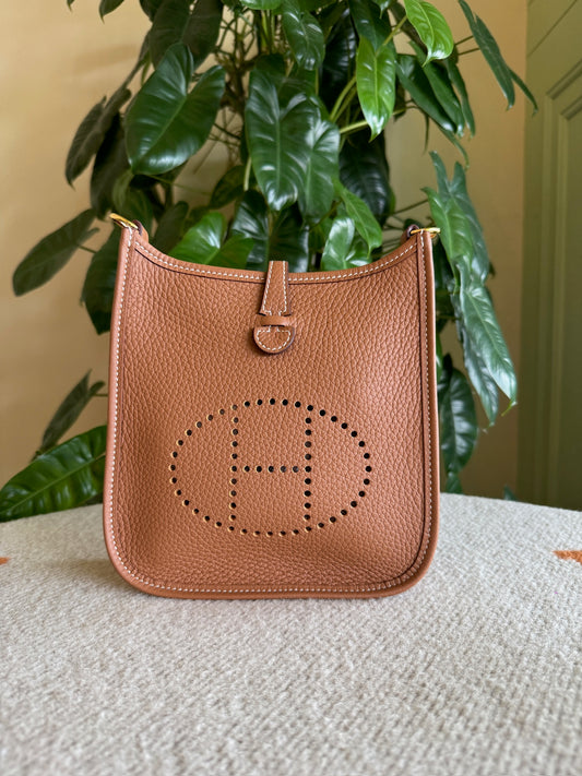 Hermes Mini Evelyn