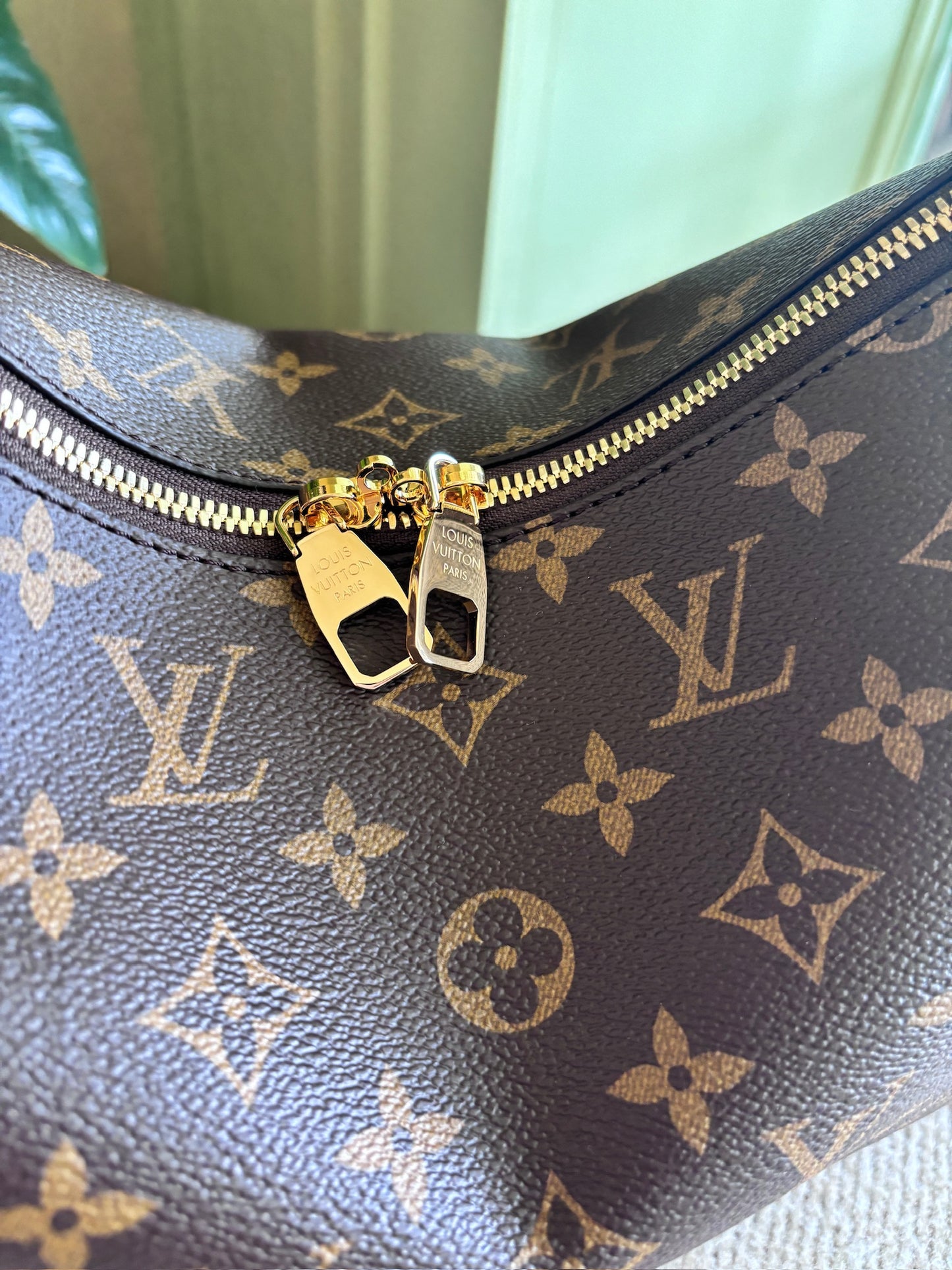 Louis Vuitton Slouchy MM Bag