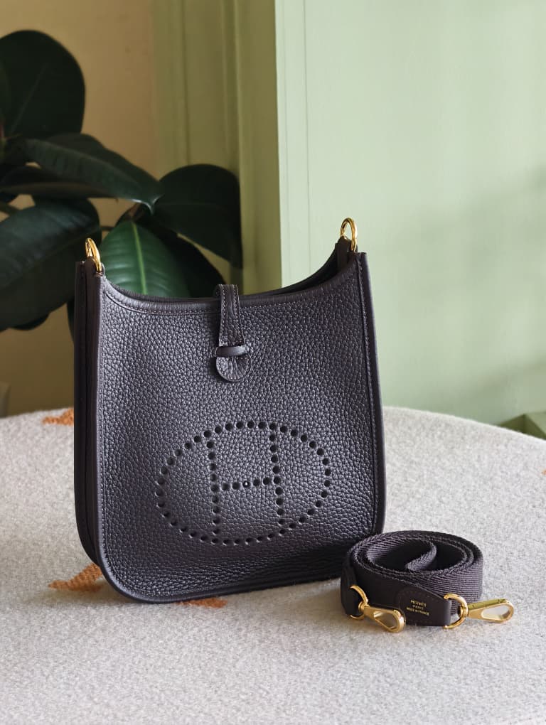 Hermes Mini Evelyne