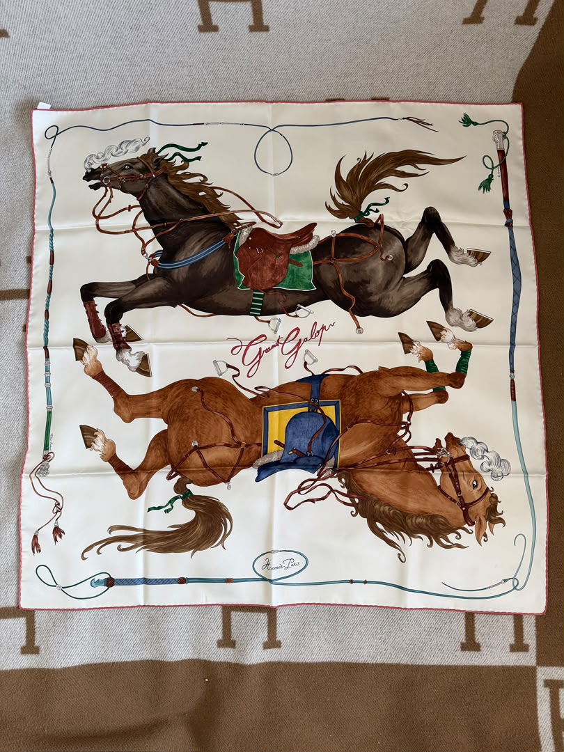 Hermes Silk Scarf