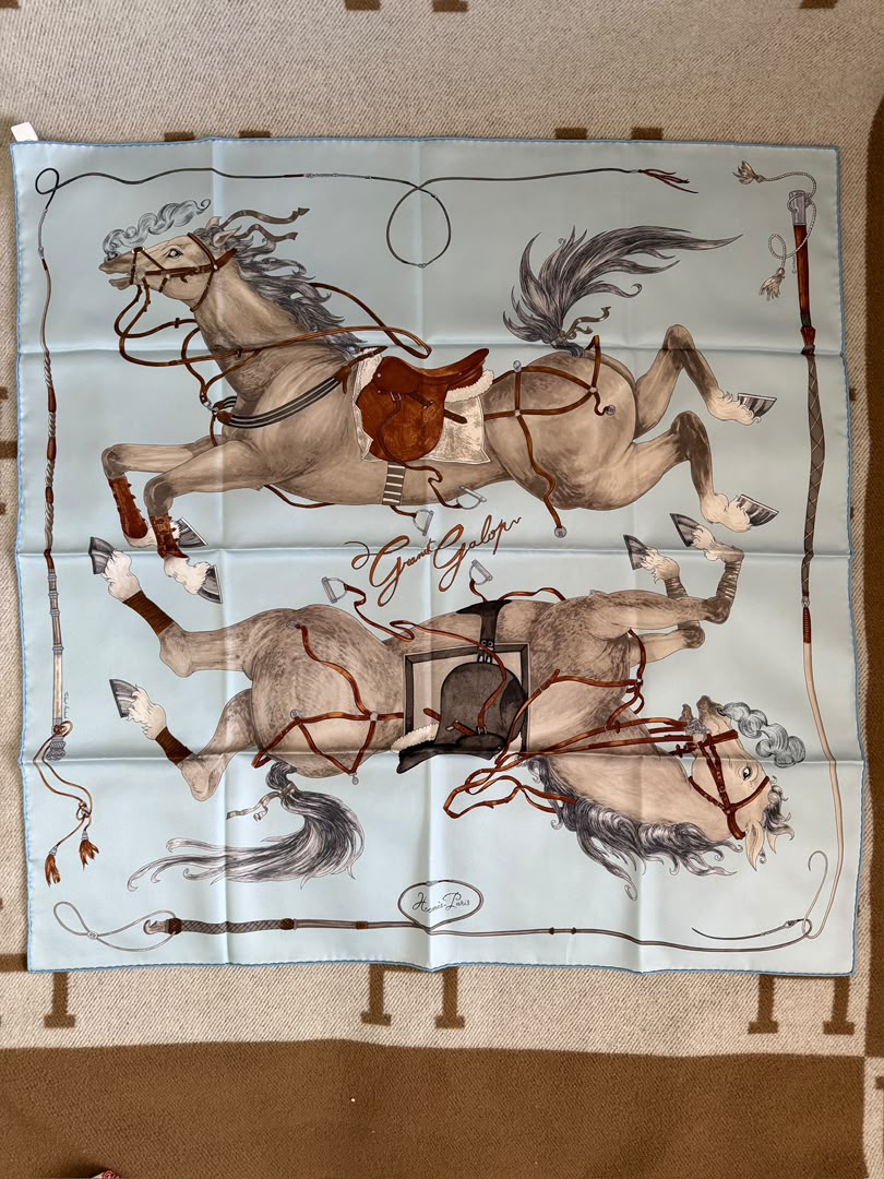 Hermes Silk Scarf