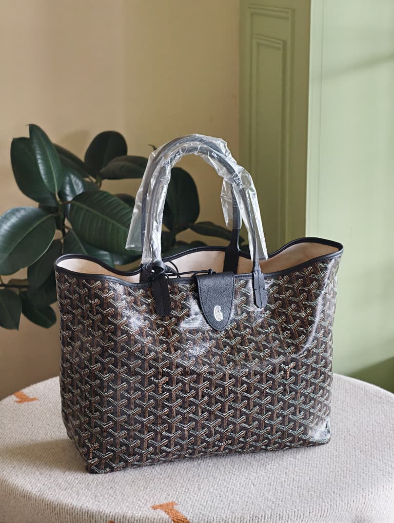Goyard Saint Louis PM bag