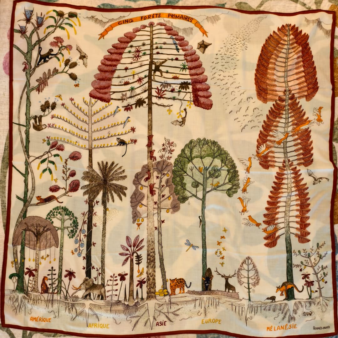 Hermes Cashmere Scarf