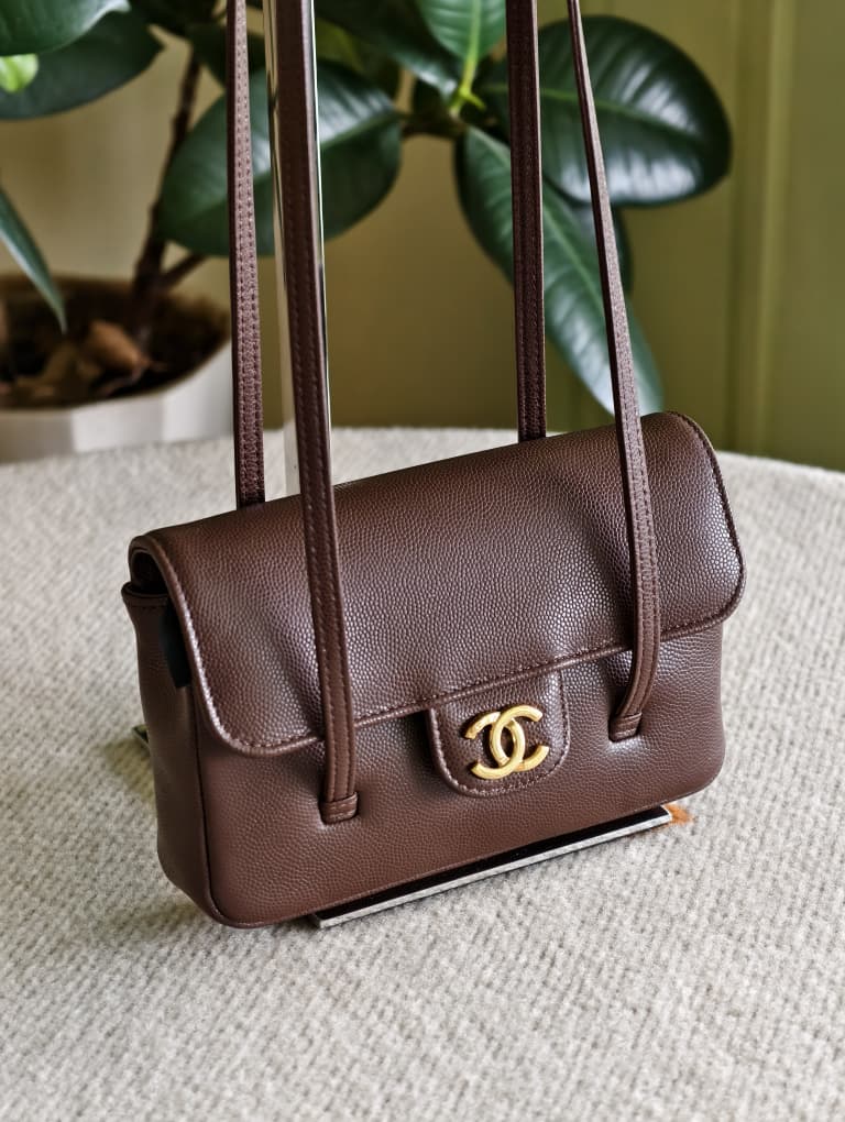 Chanel Preppy Coco Dark Brown Mini Bag